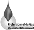 Logo Professionnel du gaz naturel et propane